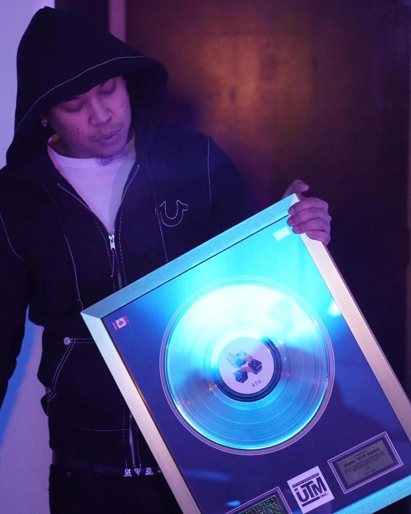Platinum plaques, piece 2