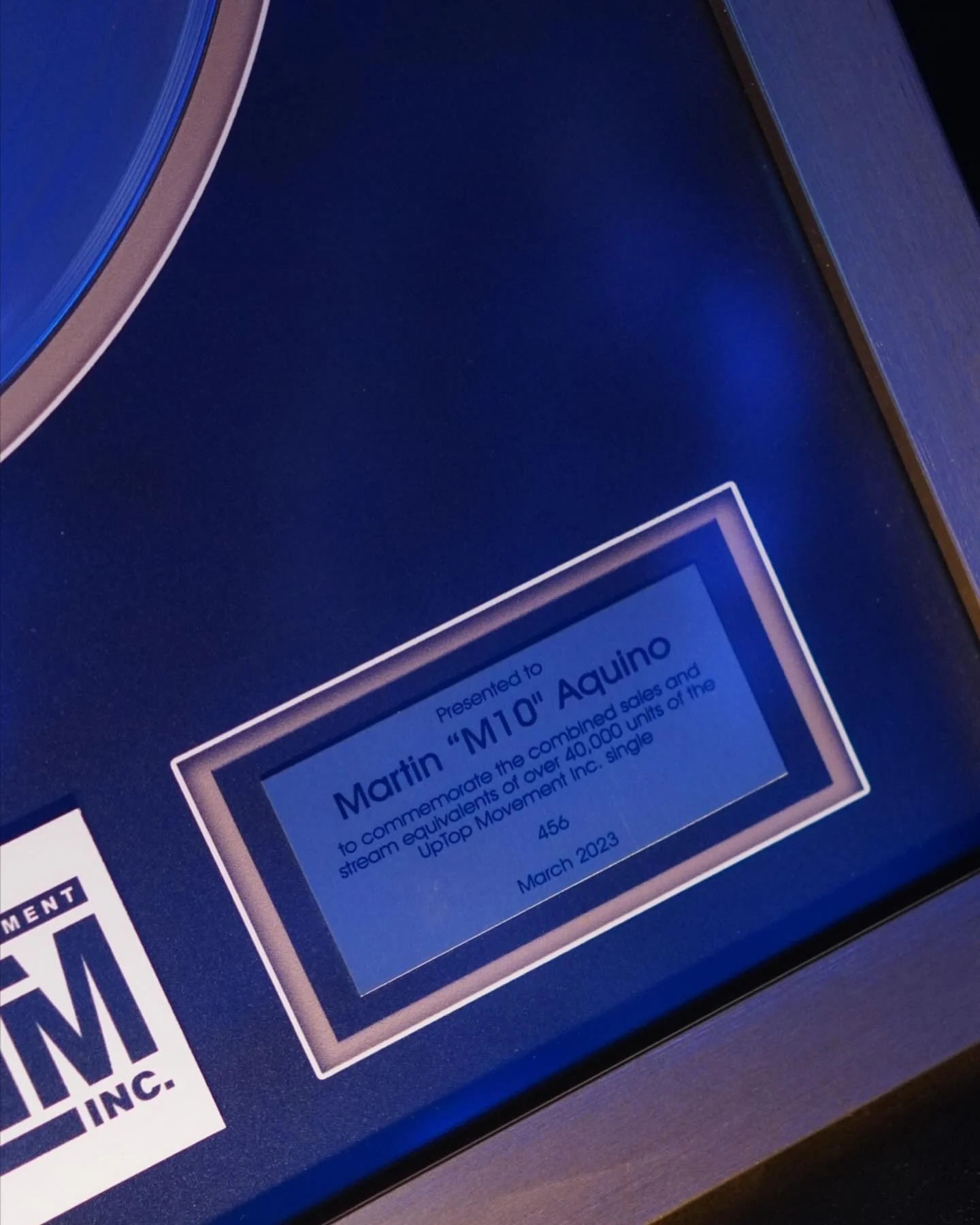 Platinum plaques, piece 5